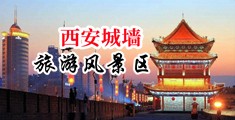 搞操网中国陕西-西安城墙旅游风景区