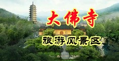 插女人小逼的网站中国浙江-新昌大佛寺旅游风景区
